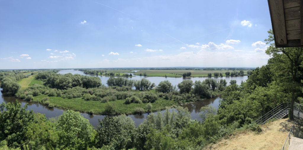 Immer der Elbe entlang …